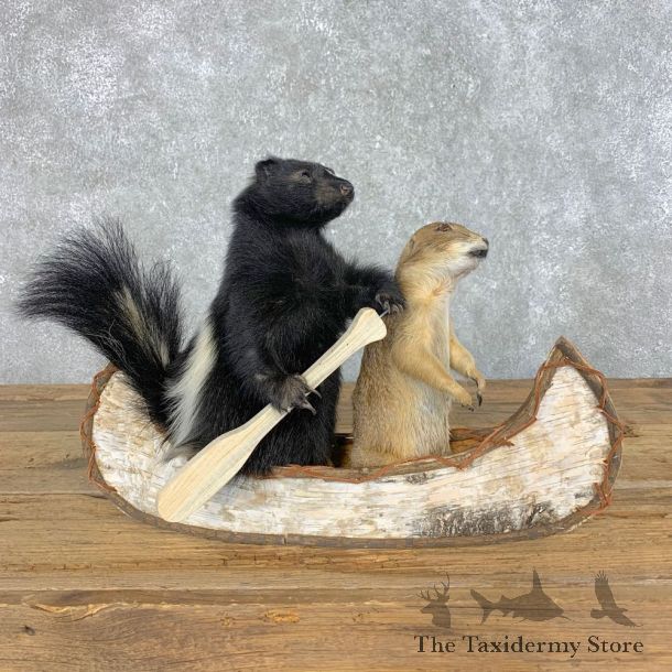 Canoeing Prairie Dog and Skunk Novelty Mount For Sale #21490 @ The Taxidermy Store