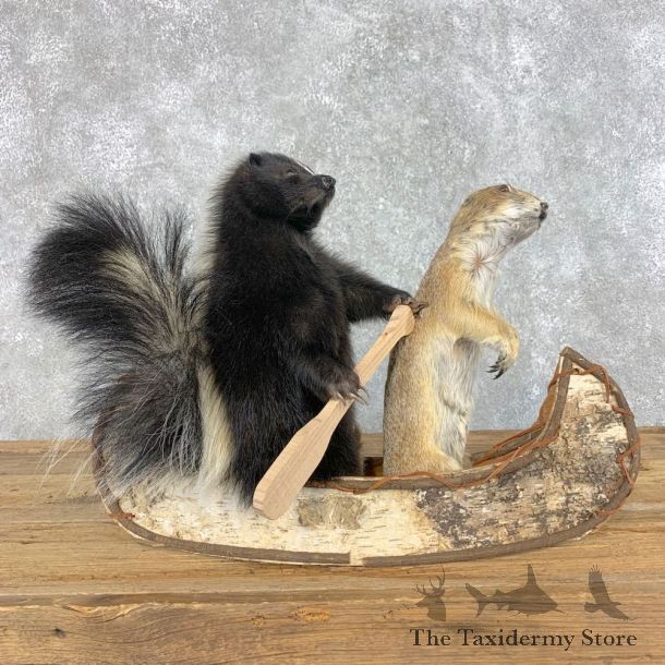 Canoeing Prairie Dog and Skunk Novelty Mount For Sale #21491 @ The Taxidermy Store