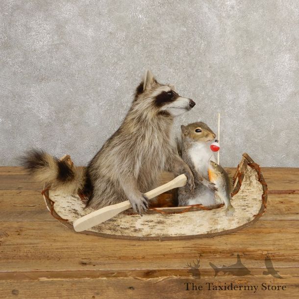 Canoeing Raccoon And Fishing Squirrel Novelty Mount For Sale #20746 @ The Taxidermy Store