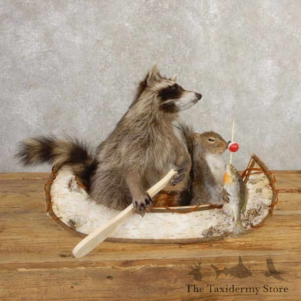 Canoeing Raccoon And Fishing Squirrel Novelty Mount For Sale #20747 @ The Taxidermy Store