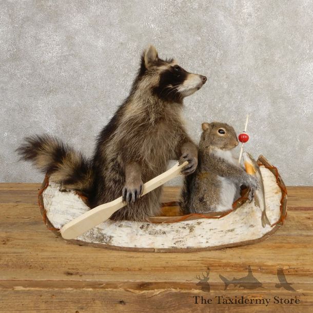 Canoeing Raccoon And Fishing Squirrel Novelty Mount For Sale #20748 @ The Taxidermy Store