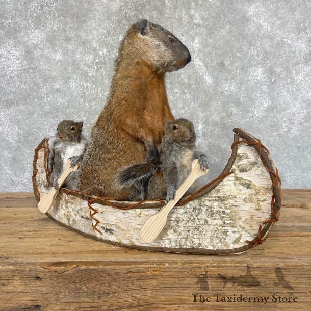 Canoeing Squirrel and Marmot Novelty Mount For Sale #24442 @ The Taxidermy Store