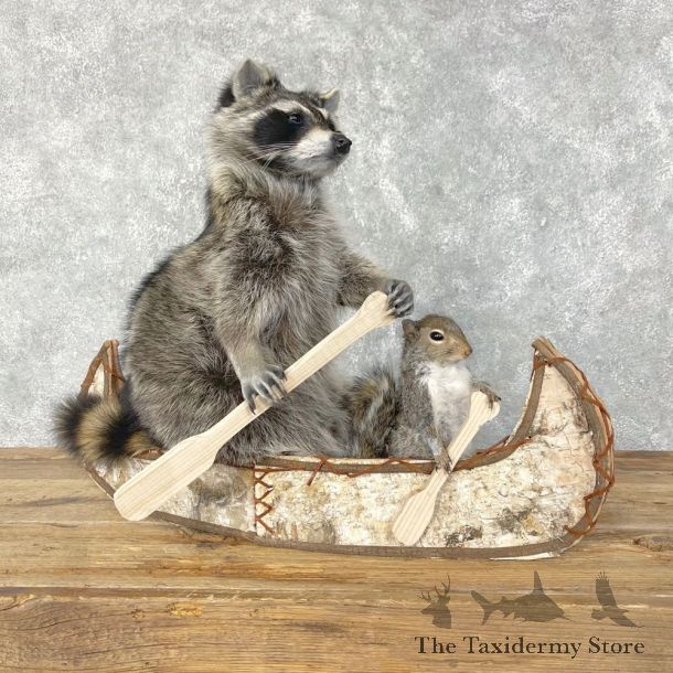 Canoeing Squirrel and Raccoon Novelty Mount For Sale #24443 @ The Taxidermy Store