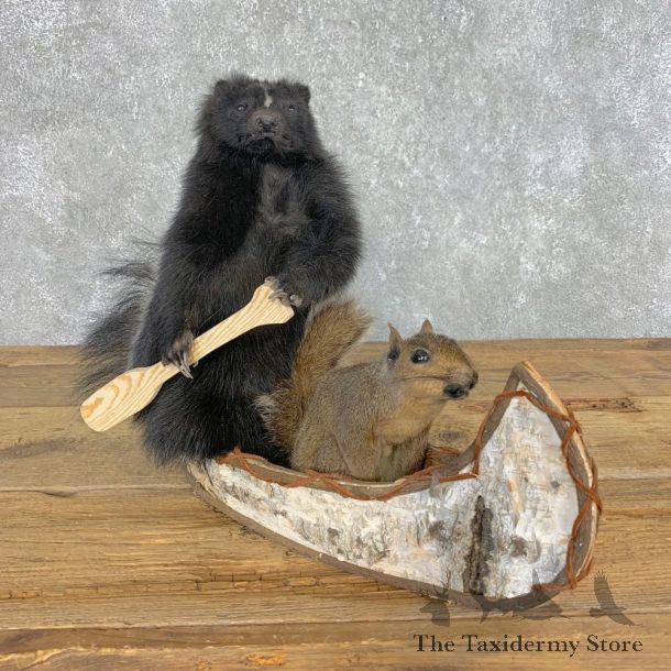 Canoeing Squirrel and Skunk Novelty Mount For Sale #21488 @ The Taxidermy Store
