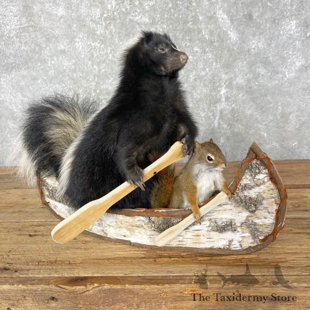 Canoeing Squirrel and Skunk Novelty Mount For Sale #24445 @ The Taxidermy Store