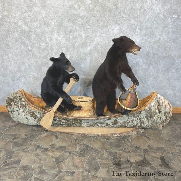 Captains Classic Canoe Black Bear Cubs Taxidermy Mount For Sale #24269 @ The Taxidermy Store