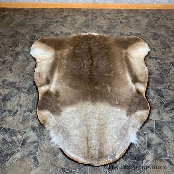 Caribou Taxidermy Rug For Sale #22753 @ The Taxidermy Store