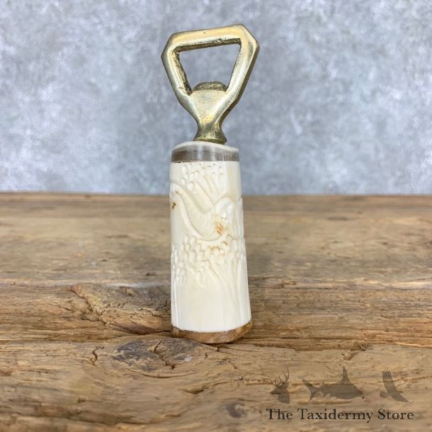 Carved Bone Bottle Opener For Sale #21800 @ The Taxidermy Store