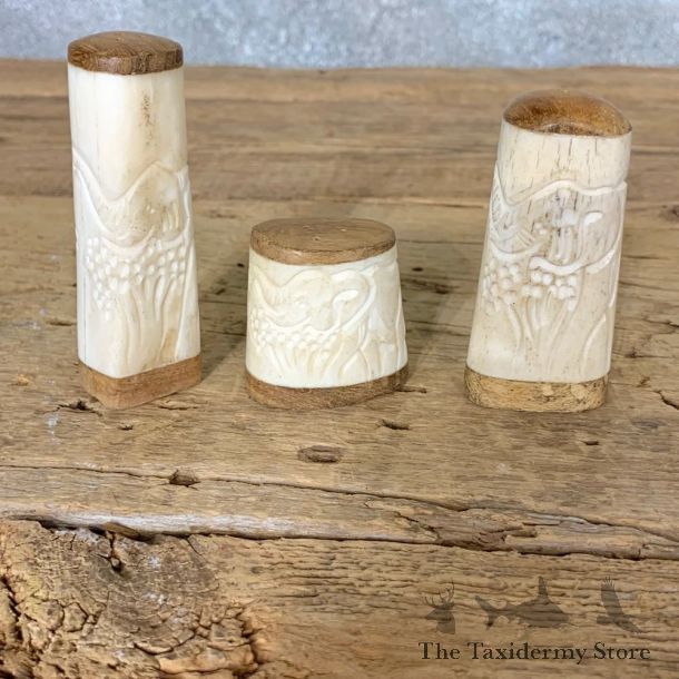 Carved Bone Salt And Pepper Shakers For Sale #21805 @ The Taxidermy Store