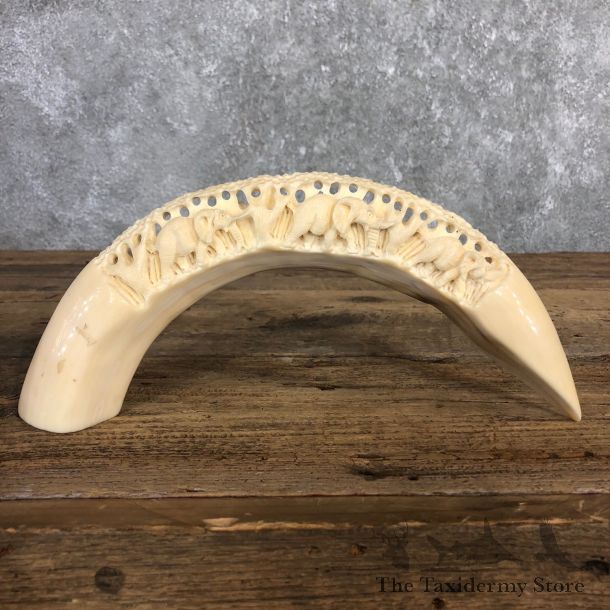 Carved Hippopotamus Tooth For Sale #19957 @ The Taxidermy Store