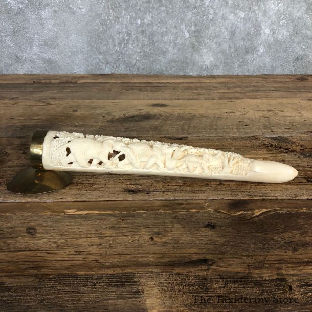 Carved Hippopotamus Tooth For Sale #19963 @ The Taxidermy Store