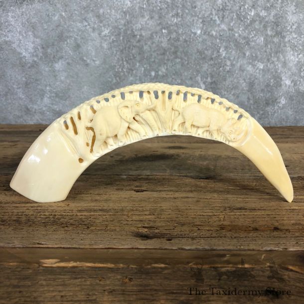 Carved Hippopotamus Tooth For Sale #19966 @ The Taxidermy Store