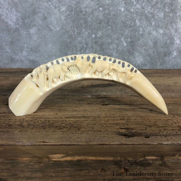 Carved Hippopotamus Tooth For Sale #19969 @ The Taxidermy Store