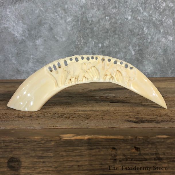 Carved Hippopotamus Tooth For Sale #19970 @ The Taxidermy Store