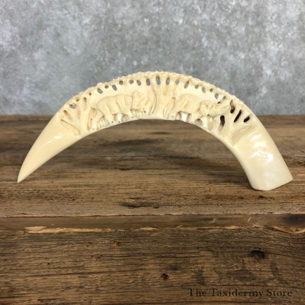 Carved Hippopotamus Tooth For Sale #19971 @ The Taxidermy Store