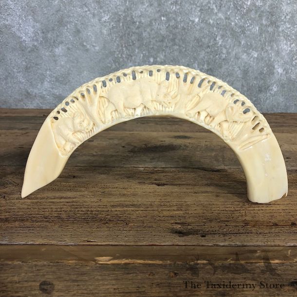 Carved Hippopotamus Tooth For Sale #19973 @ The Taxidermy Store