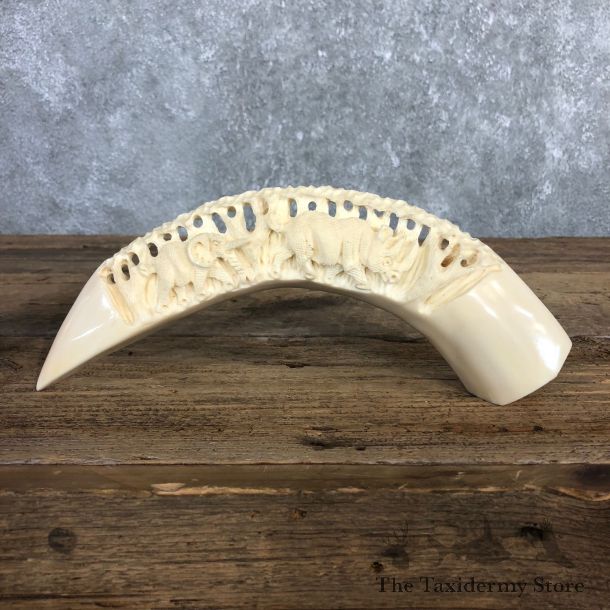 Carved Hippopotamus Tooth For Sale #19974 @ The Taxidermy Store
