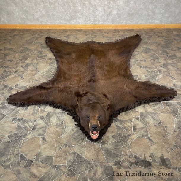 Chocolate Black Bear Full-Size Rug For Sale #24685 @ The Taxidermy Store