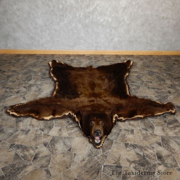 Chocolate Phase Black Bear Full-Size Rug For Sale #18978 @ The Taxidermy Store