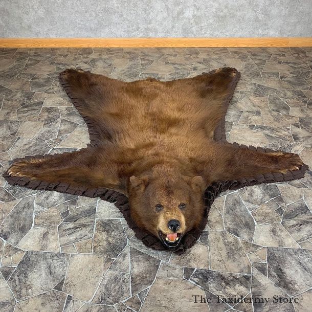 Chocolate Phase Black Bear Full-Size Rug For Sale #21167 @ The Taxidermy Store
