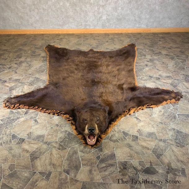 Chocolate Phase Black Bear Full-Size Rug For Sale #24002 @ The Taxidermy Store