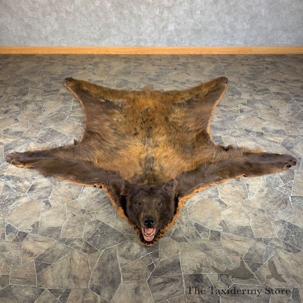 Chocolate Phase Black Bear Full-Size Rug For Sale #24008 @ The Taxidermy Store