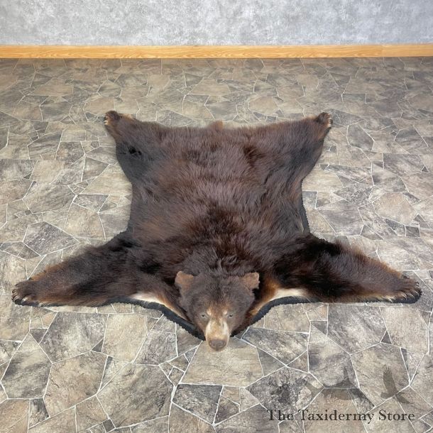 Chocolate Phase Black Bear Full-Size Rug For Sale #25585 @ The Taxidermy Store