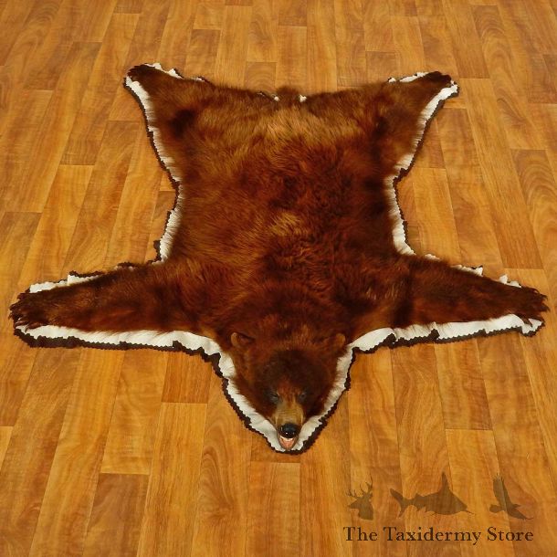 Cinnamon Black Bear Full-Size Rug For Sale #16605 @ The Taxidermy Store