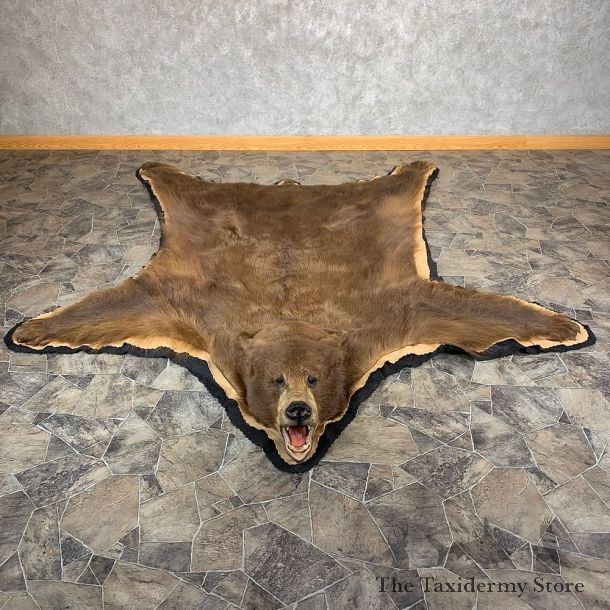 Cinnamon Black Bear Full-Size Rug For Sale #21171 @ The Taxidermy Store