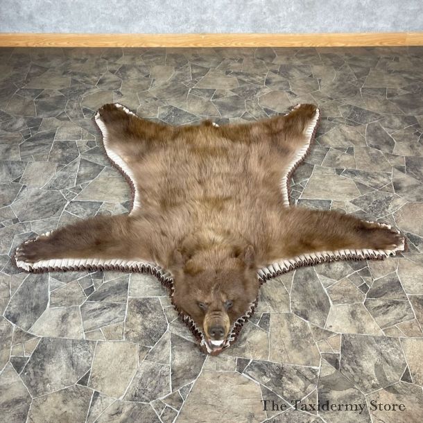 Cinnamon Black Bear Full-Size Rug For Sale #27849 @ The Taxidermy Store