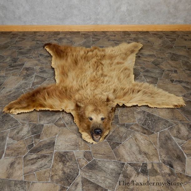 Cinnamon Phase Black Bear Full-Size Rug For Sale #18969 @ The Taxidermy Store