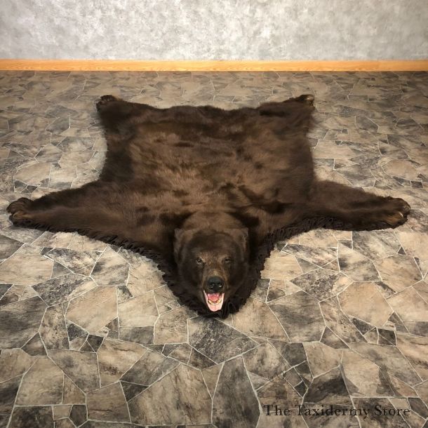 Cinnamon Phase Black Bear Full-Size Rug For Sale #20081 @ The Taxidermy Store