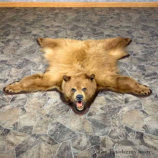 Cinnamon Phase Black Bear Full-Size Rug For Sale #22105 @ The Taxidermy Store