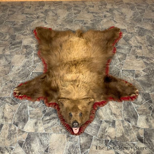 Cinnamon Phase Black Bear Full-Size Rug For Sale #22537 @ The Taxidermy Store
