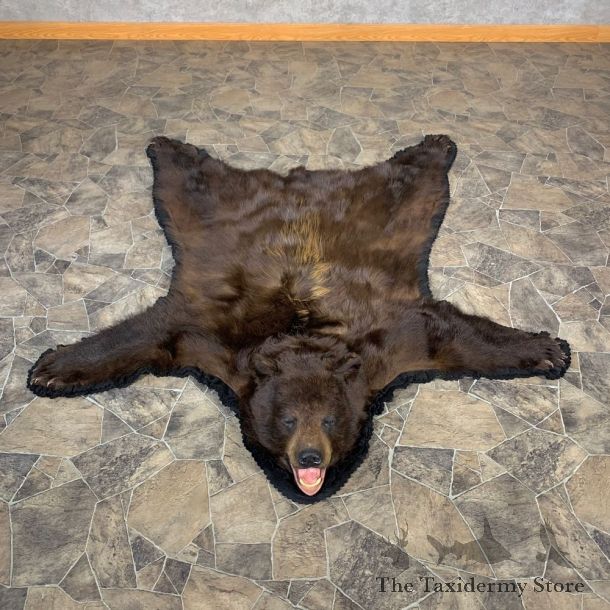 Cinnamon Phase Black Bear Full-Size Rug For Sale #22698 @ The Taxidermy Store