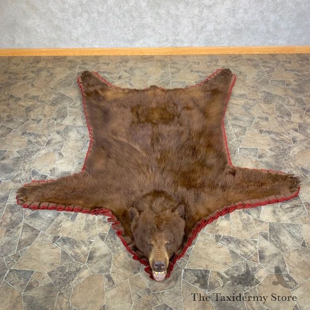Cinnamon Phase Black Bear Full-Size Rug For Sale #23020 @ The Taxidermy Store