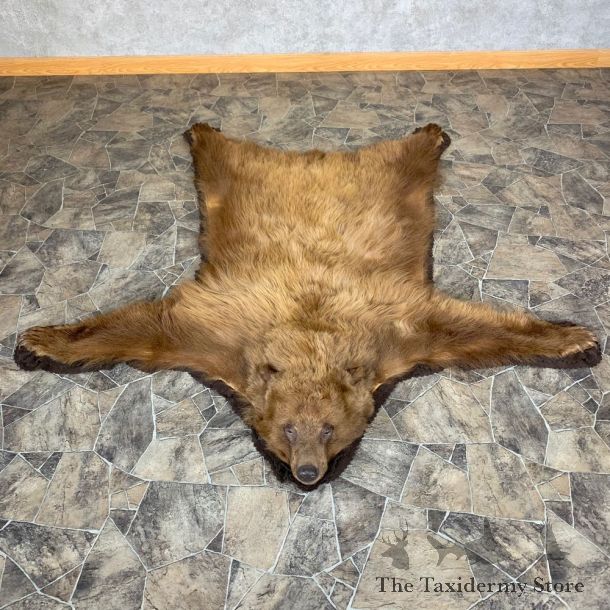 Cinnamon Phase Black Bear Full-Size Rug For Sale #23317 @ The Taxidermy Store