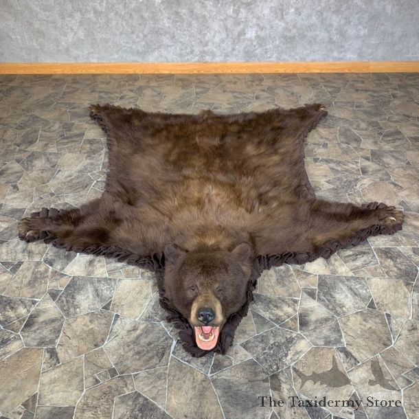 Cinnamon Phase Black Bear Full-Size Rug For Sale #23328 @ The Taxidermy Store