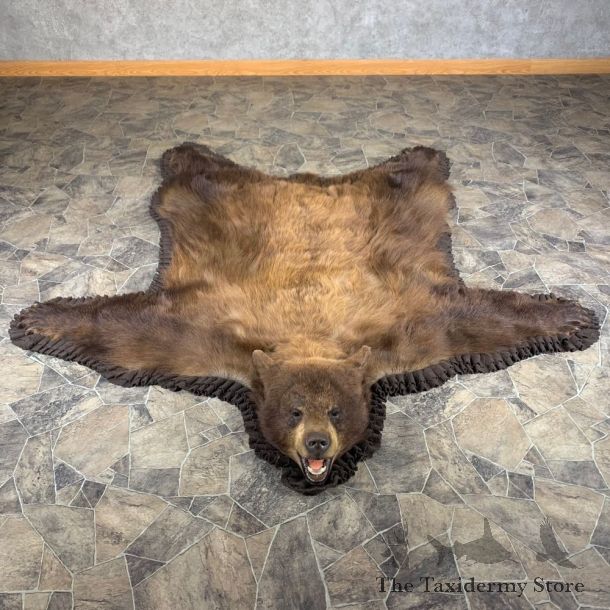 Cinnamon Phase Black Bear Full-Size Rug For Sale #24015 @ The Taxidermy Store