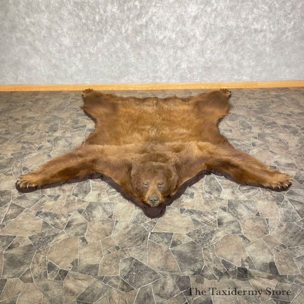 Cinnamon Phase Black Bear Full-Size Rug For Sale #25260 @ The Taxidermy Store