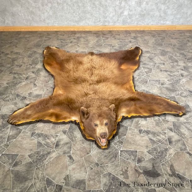 Cinnamon Phase Black Bear Full-Size Rug For Sale #26298 @ The Taxidermy Store