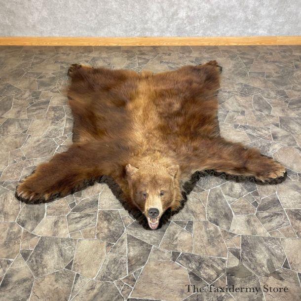 Cinnamon Phase Black Bear Full-Size Rug For Sale #26302 @ The Taxidermy Store