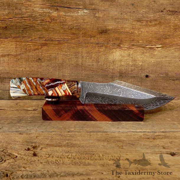 Collectible Hunting Knife with Mammoth Tooth Handle For Sale  #19233 @ The Taxidermy Store