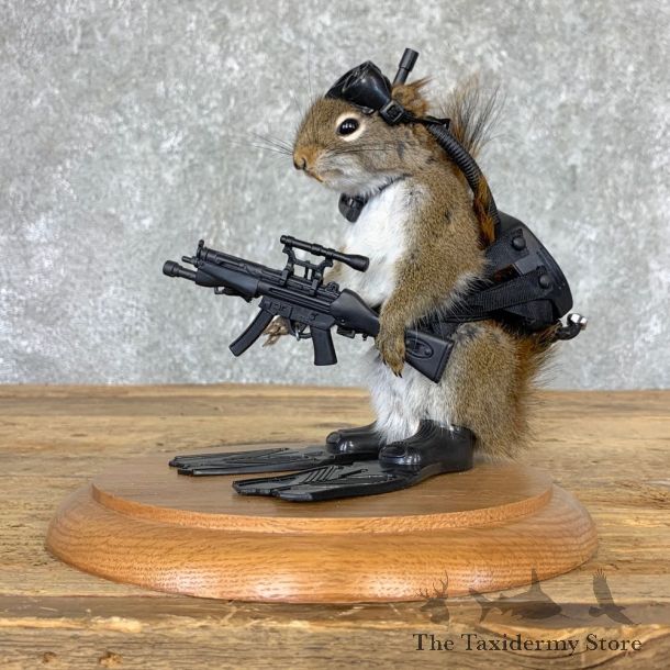 Commando Squirrel Novelty Mount For Sale #22998 @ The Taxidermy Store