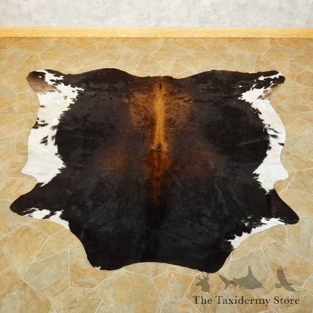 Cow Hide For Sale #15702 @ The Taxidermy Store
