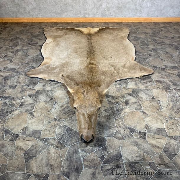 Cow Elk Taxidermy Rug For Sale #21855 @ The Taxidermy Store