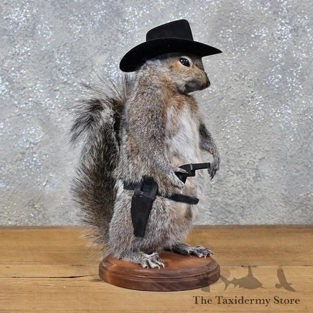 Novelty Cowboy Grey Squirrel #11909 For Sale @ The Taxidermy Store