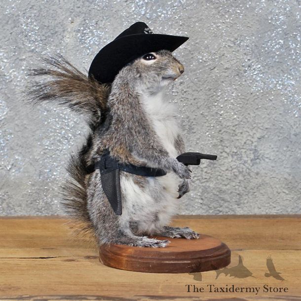 Novelty Cowboy Grey Squirrel #11914 For Sale @ The Taxidermy Store