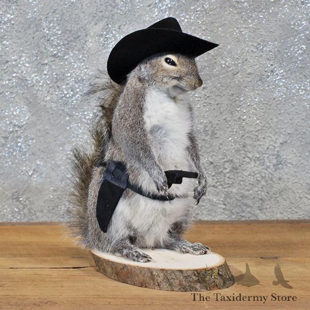 Novelty Cowboy Grey Squirrel #11918 For Sale @ The Taxidermy Store