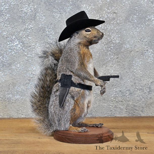 Novelty Cowboy Grey Squirrel #11921 For Sale @ The Taxidermy Store